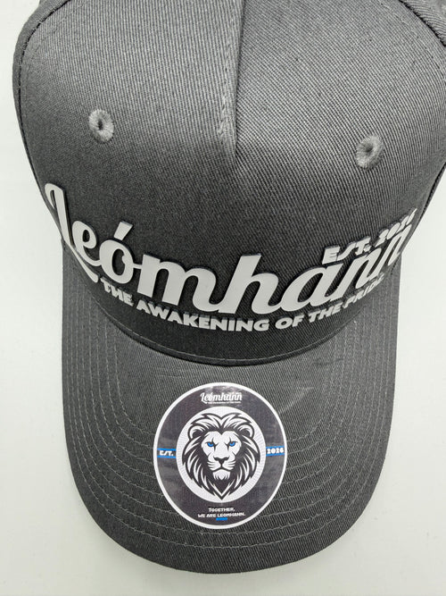 Dark Grey Cap