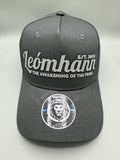 Dark Grey Cap