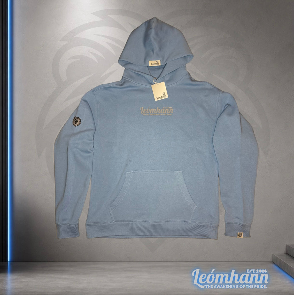 Blue Hoodie